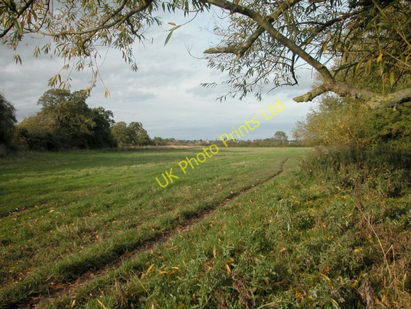 Photo 6"x4" Marches Way Chester c2005
