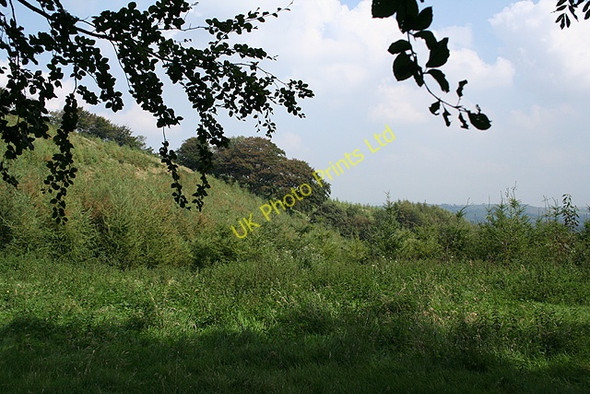 Photo 6"x4" Swimbridge: on Hangman\u00e2\u0080\u0099s Hill Hannaford c2007