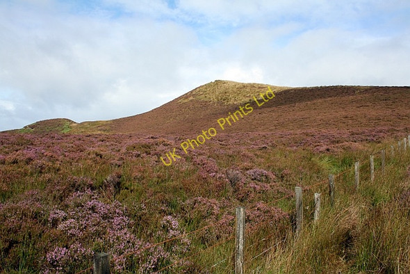 Photo 6"x4" Spot Height 218 North of Loch Orodale. Drumlemble c2007