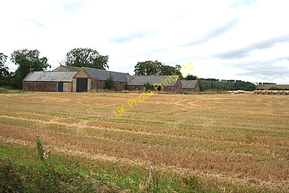 Photo 6"x4" Little Colp Turriff c2007