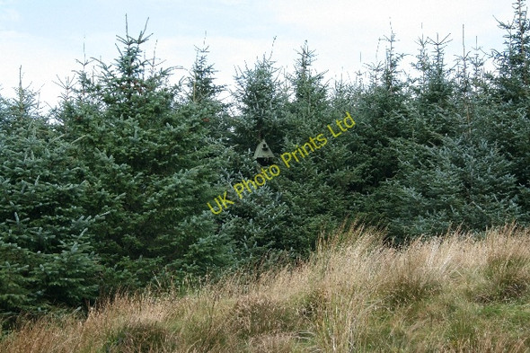 Photo 6"x4" Birdbox in Lochorodale (1). Drumlemble c2007