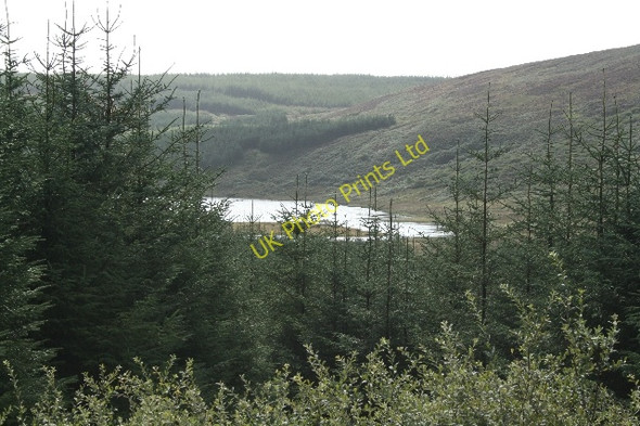 Photo 6"x4" Loch Orodale Through The Trees. Drumlemble c2007