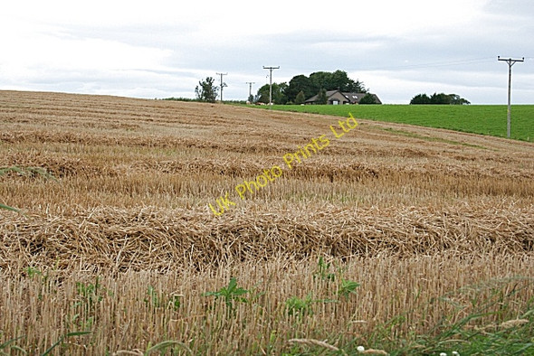 Photo 6"x4" Croft of Balmuir Kirkton of Auchterless c2007