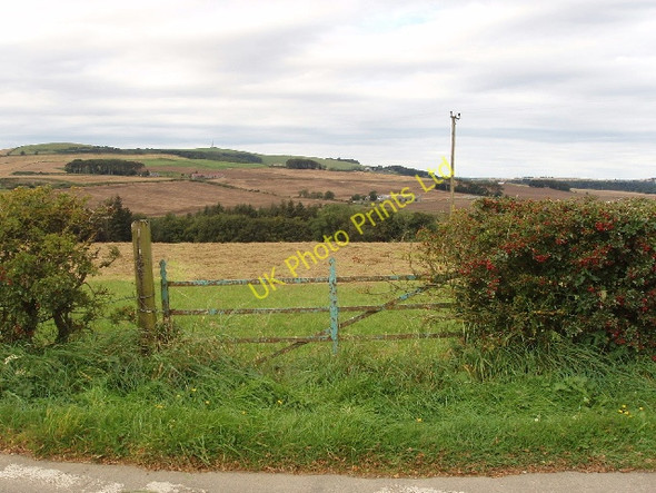 Photo 6"x4" Field gate by south lodge of Eden House Keilhill c2007