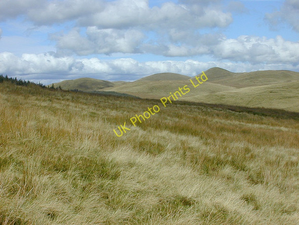 Photo 6"x4" Rough grazing north of Nant y Baracs Nant y Baracs c2007