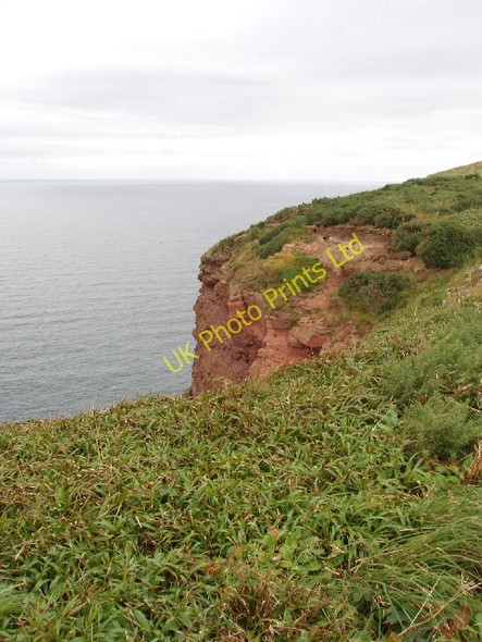 Photo 6"x4" Sandstone cliffs of Pennan Head Pennan c2007