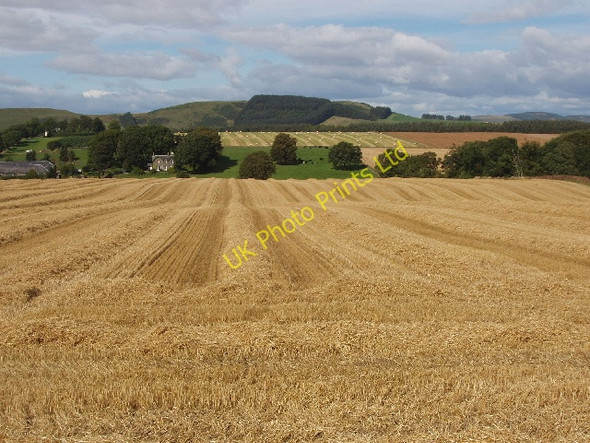 Photo 6"x4" Straw awaiting baling, near Fowlis Fowlis c2007