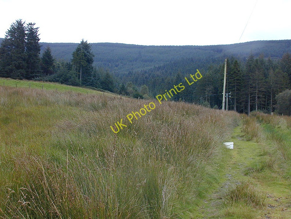 Photo 6"x4" Track south of Blaeneinion Coed y Garth c2007