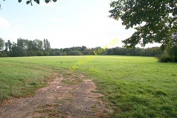 Photo 6"x4" Pasture near Acorns Farm Fernhill Heath c2007