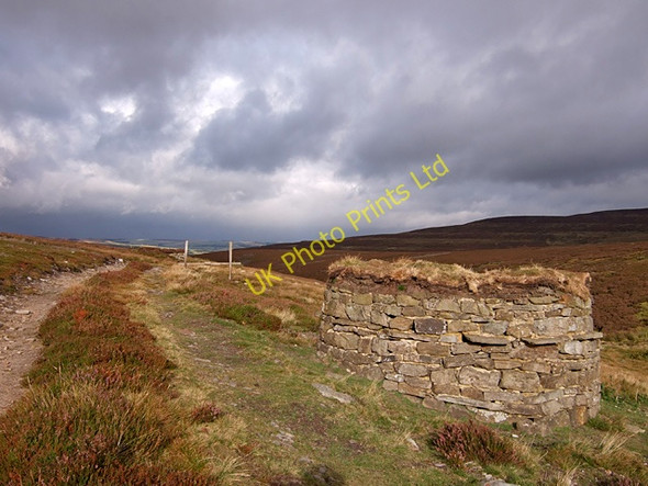 Photo 6"x4" Grouse butts above Black Burn Bollihope c2007
