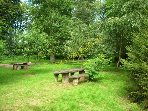 Photo 6"x4" Picnic benches Aylmerton c2007