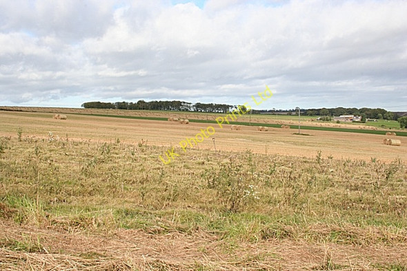 Photo 6"x4" Towie Turner Inverythan c2007