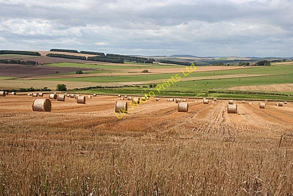 Photo 6"x4" Tifty Burn Howe of Teuchar c2007