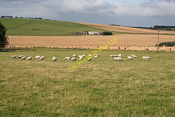 Photo 6"x4" Mid Bodiechell Howe of Teuchar c2007