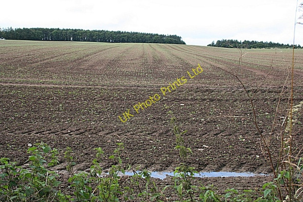 Photo 6"x4" North Blachrie Inverythan c2007