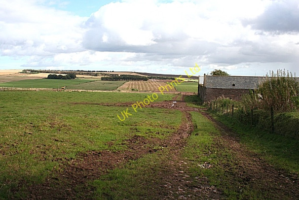 Photo 6"x4" North Blachrie Inverythan c2007 P1