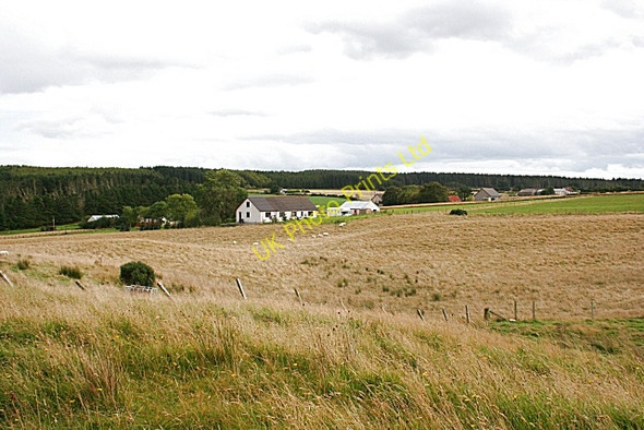 Photo 6"x4" Hillbrae of Teuchar Greeness c2007