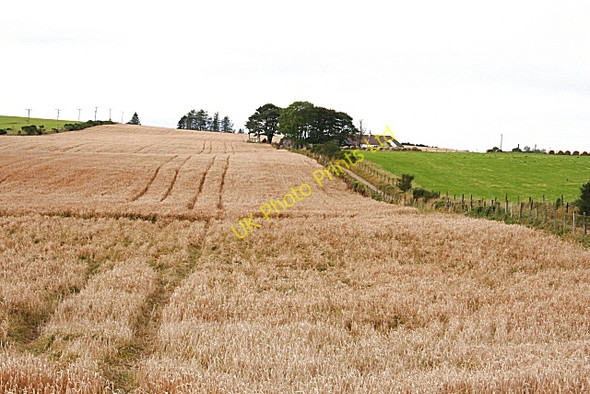 Photo 6"x4" Backhill of Greeness Greeness c2007
