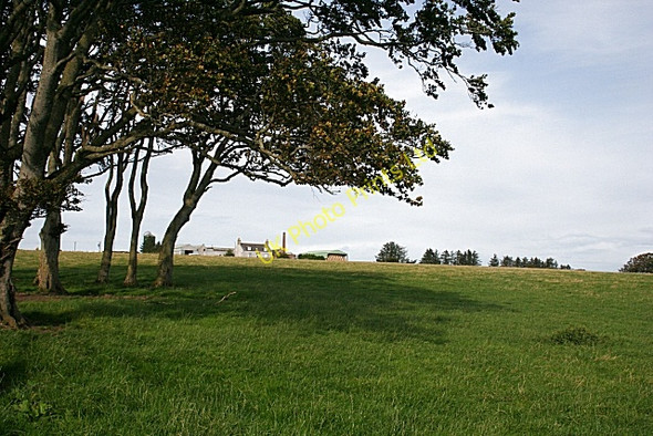 Photo 6"x4" Everton of Auchry Cuminestown c2007