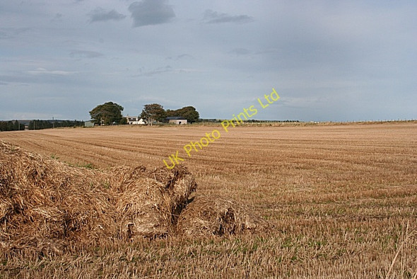 Photo 6"x4" Hillhead of Litterty Garmond c2007