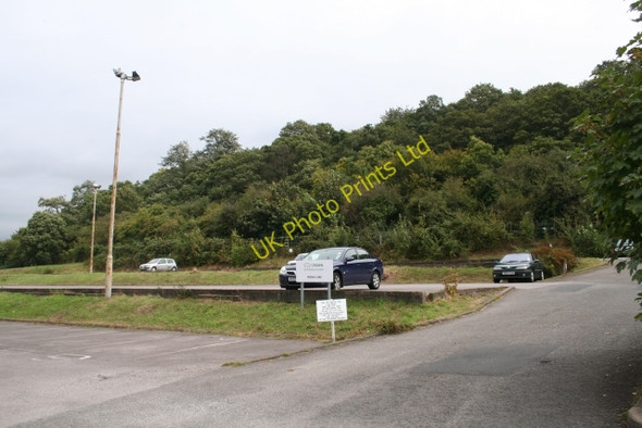 Photo 6"x4" Perry Wood Worcester c2007
