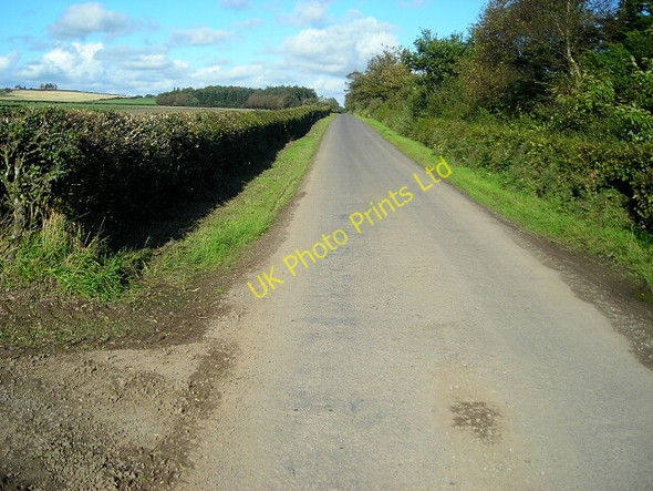 Photo 6"x4" Minor Road Beside Wintersheugh Plantation Brydekirk c2007