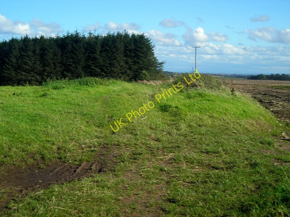 Photo 6"x4" Track Near Beckhead Murraythwaite c2007