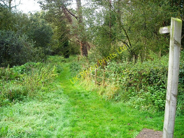 Photo 6"x4" Footpath to Powfoot Cummertrees c2007