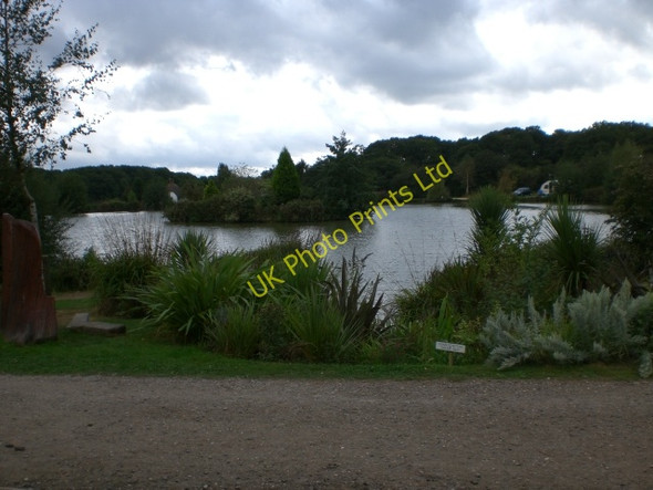 Photo 6"x4" Summers Ponds Barns Green c2007