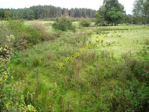 Photo 6"x4" Rough Ground Beside Burn at Cockpool Ruthwell c2007