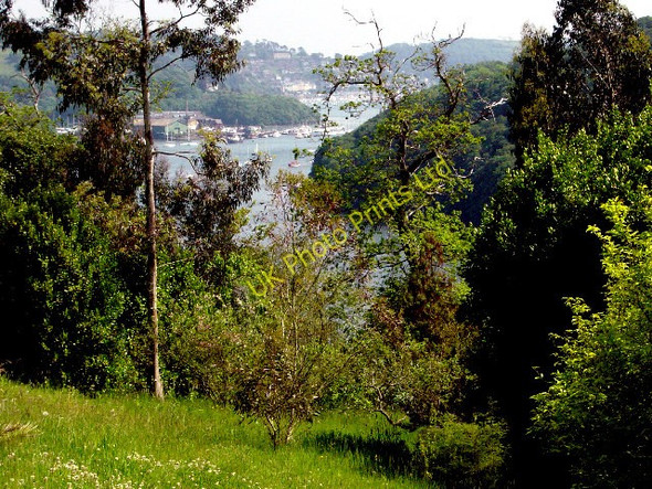 Photo 6"x4" Greenway House Gardens Dittisham c2003