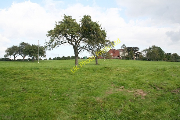 Photo 6"x4" Munsley Court Munsley c2007