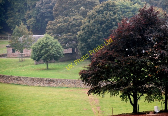 Photo 6"x4" Banks Farm in the trees Ramshorn c2007