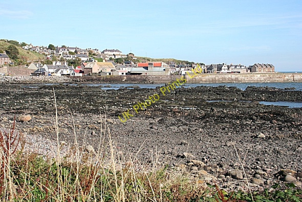 Photo 6"x4" Gourdon from Whitehouse Inverbervie c2007