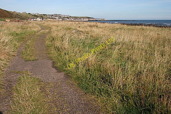 Photo 6"x4" Coastal Path South of Gourdon Inverbervie c2007