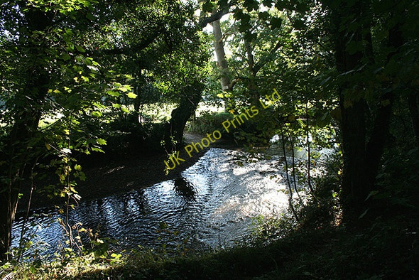 Photo 6"x4" North Petherwin: ford on the river Ottery Trillacott c2007