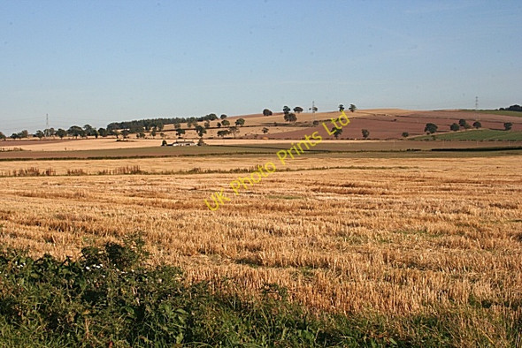 Photo 6"x4" Fields at West Ingliston Ingliston\/NO4148 c2007