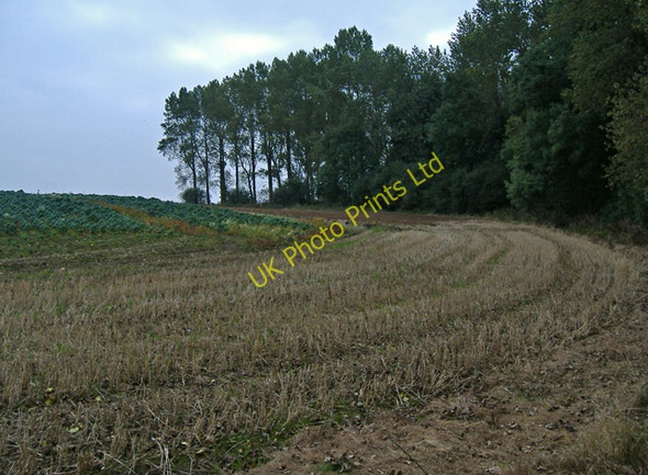 Photo 6"x4" Fishpond Wood Bentley\/TA0135 c2007