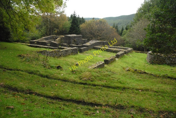 Photo 6"x4" The Ruins of Argoed Farm Cynonville c2007