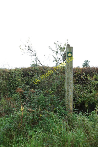 Photo 6"x4" Carved signpost on Lois Farm Combe Throop c2007