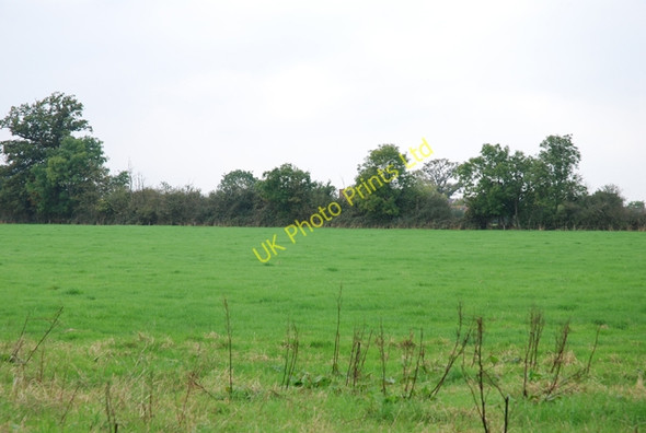 Photo 6"x4" Lois Farm Combe Throop c2007
