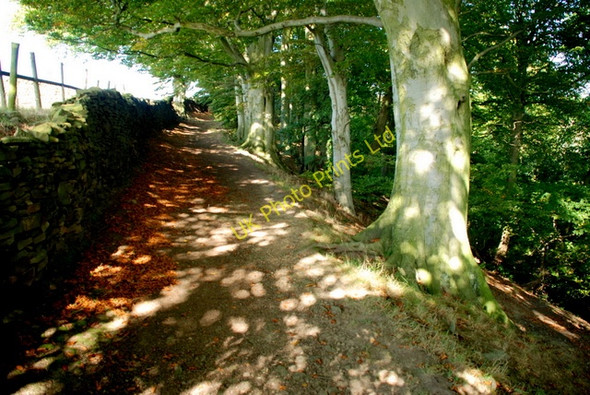 Photo 6"x4" Track above Baslow Baslow c2007