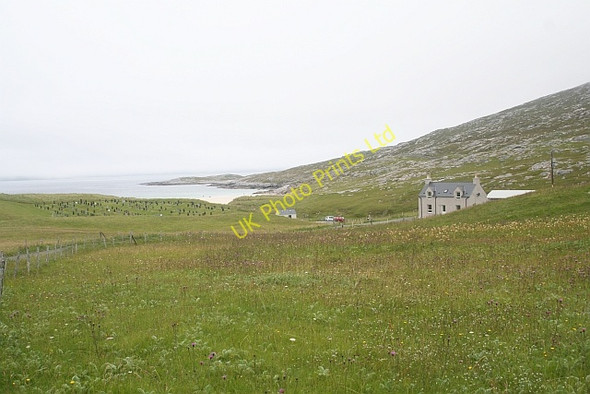 Photo 6"x4" Grassland, Luskentyre Losgaintir c2007