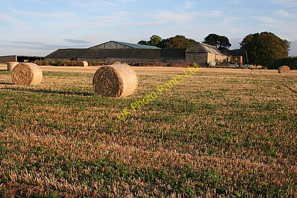 Photo 6"x4" Hatton Farm Coltfield c2007 P1