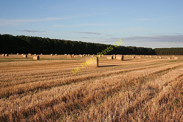 Photo 6"x4" Straw Bales at Hatton Coltfield c2007