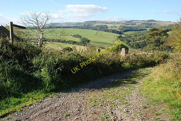 Photo 6"x4" The lane down to the A619 Pilsley\/SK2471 c2007