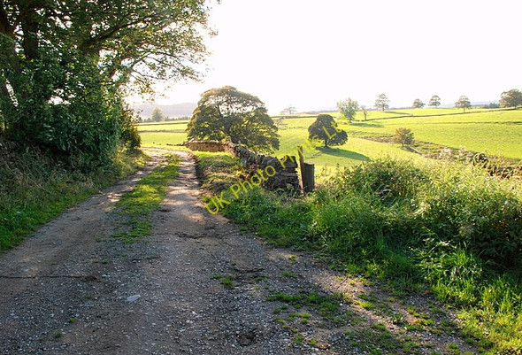 Photo 6"x4" Farm track near Pilsley Pilsley\/SK2471 c2007