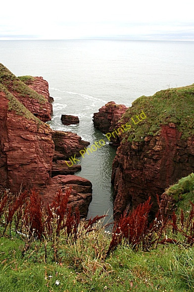 Photo 6"x4" Arbroath Cliffs Arbroath c2007