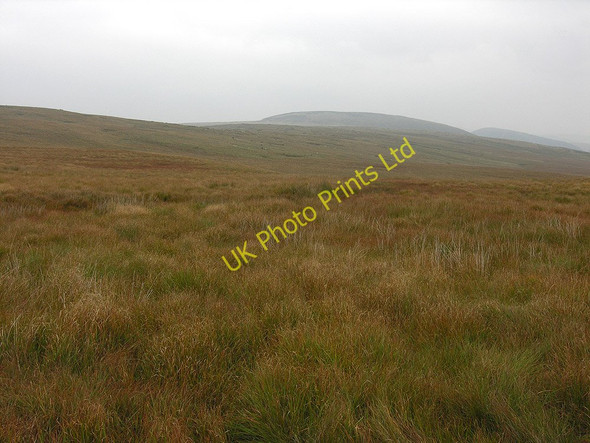 Photo 6"x4" Source of the Nant y Sarn Dolhelfa c2007
