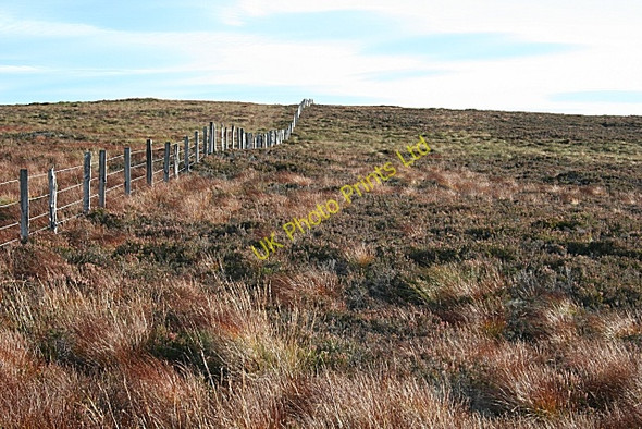 Photo 6"x4" Bracken Noits Bracken Noits c2007